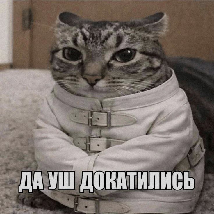 Ночная подборочка
Спать, режим