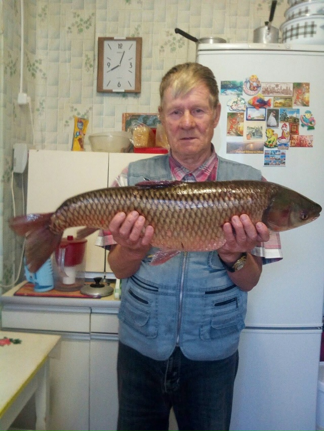 21.11.25г скончался любимый дедушка, папа и муж Отинов Але?...