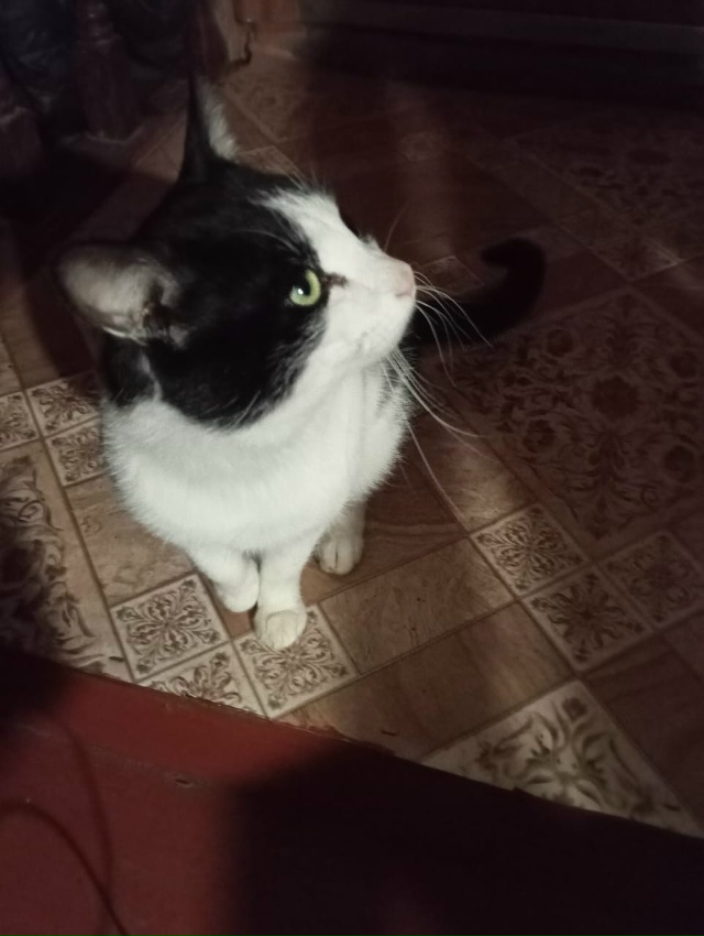 Переславль и Переславский район, давайте общими усили?...