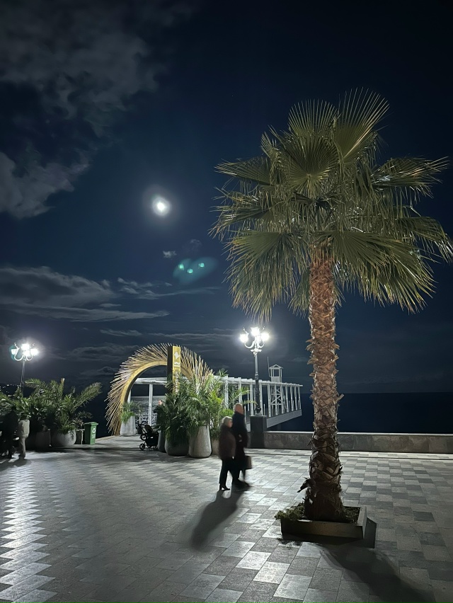 Вечерняя Ялта 🏙️ 3.12.2025