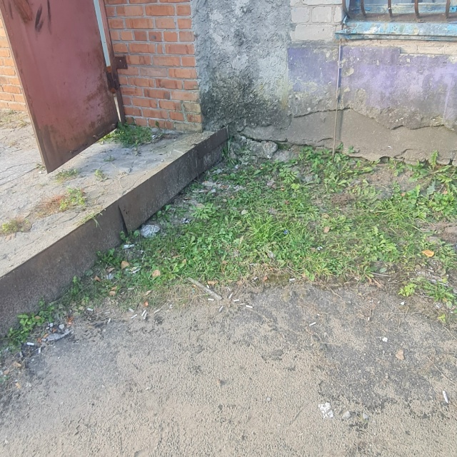 Здравствуйте, такой огромный вопрос задают общижитея ?...