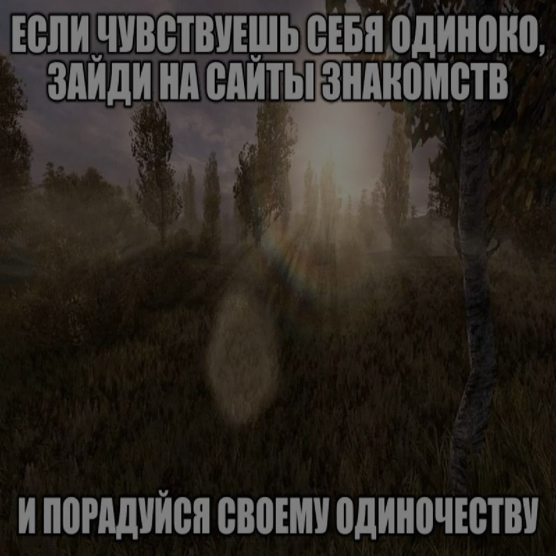 Ночная подборочка
Спать, режим