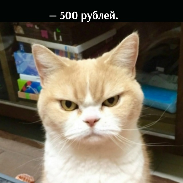😂