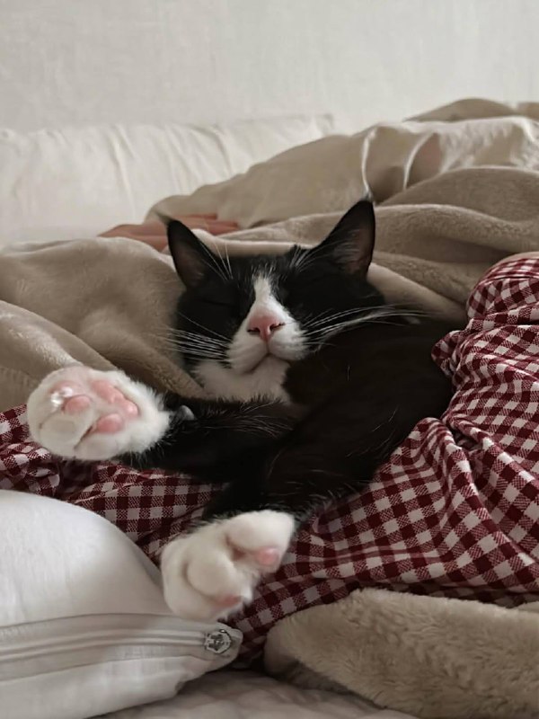 Вырубаемся споть :3