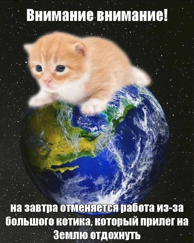 Утренняя подборочка