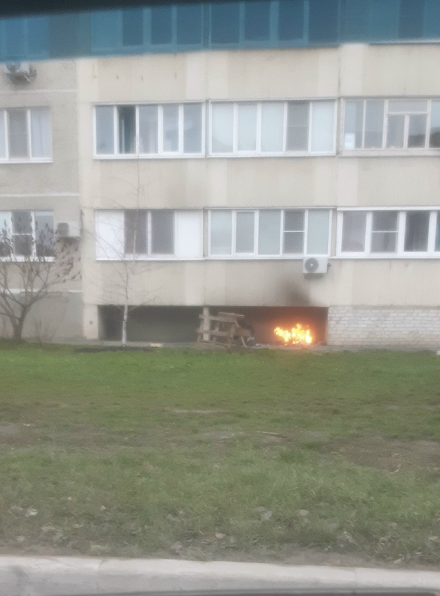 Наша Галя решила пожарить шашлычка ??