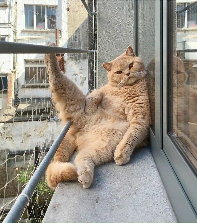 Когда жизнь удалась 😄