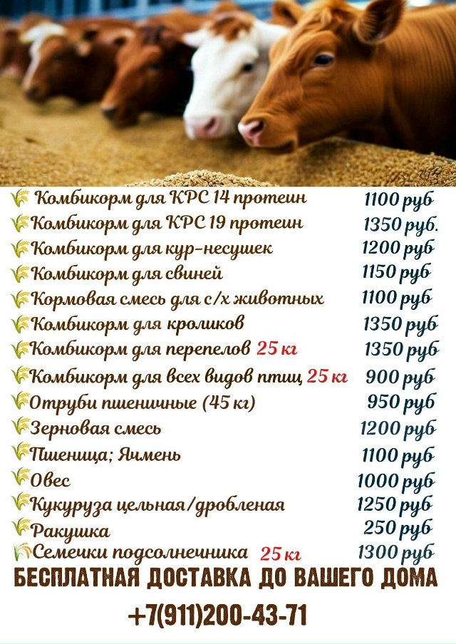 🔥🐓🐄🐖🪿🔥