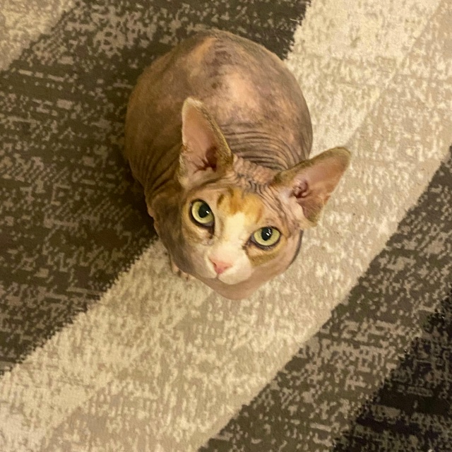 айзе за свои 12 лет довелось побывать в 3 городах, послед...