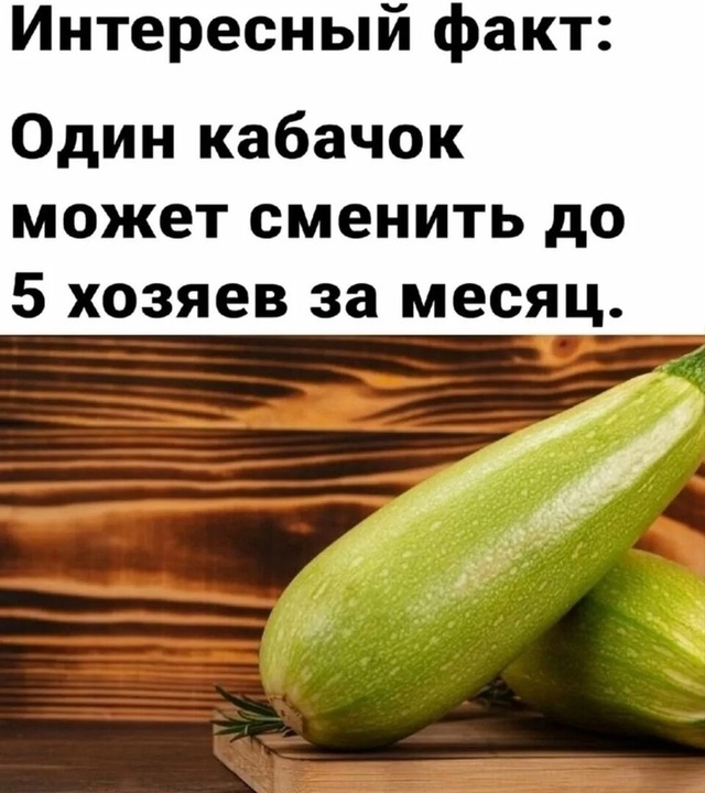 Сезон кабачков на подходе 😀