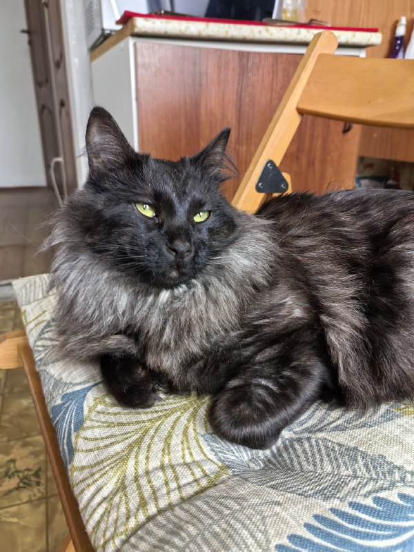 Ну как хорош