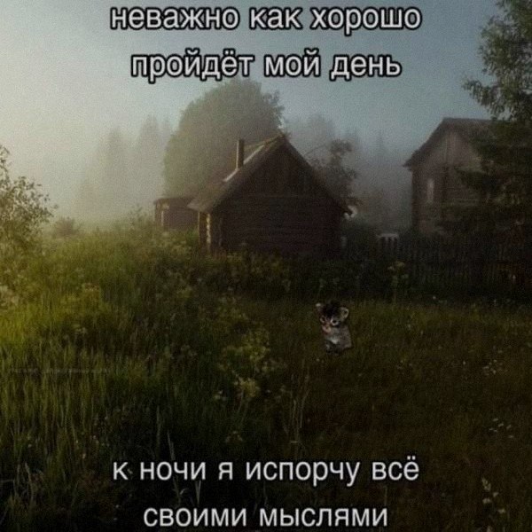 Ночная подборочка
Спать, режим