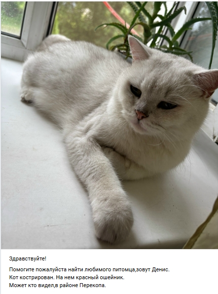 Пост добра. Распространите, пожалуйста.