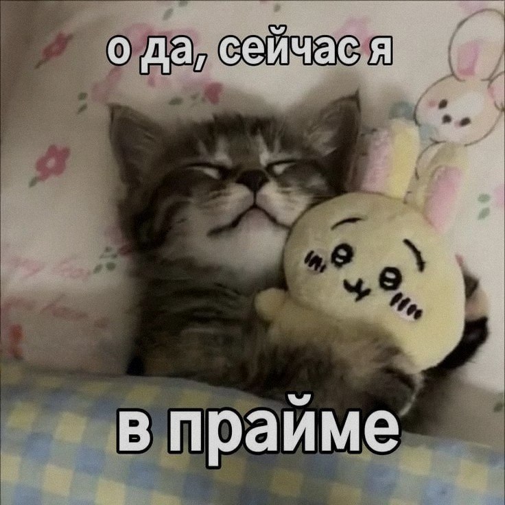 Ночная подборочка
Выходные, не спим