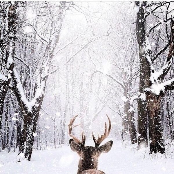 «...И вpоде взрocлые люди, но всё–paвнo мечтaем о чуде»