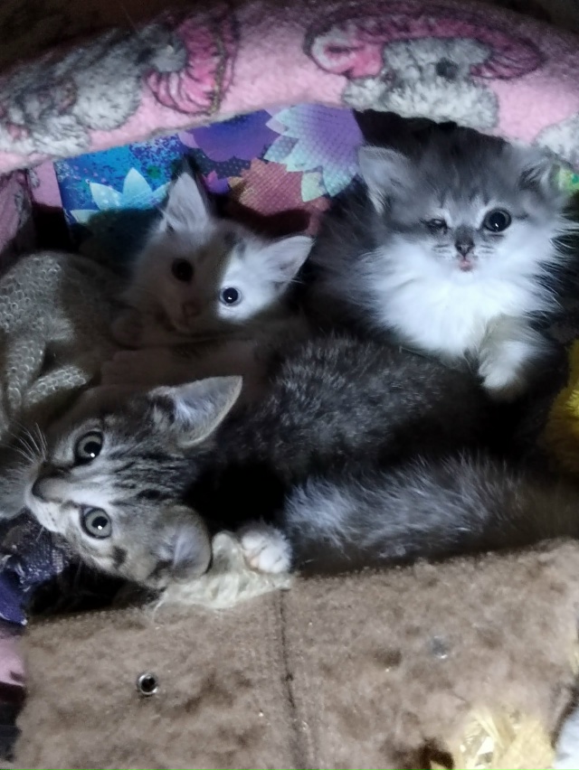 #иваново #приволжск #волгореченск
Приволжск.
Очередна?...