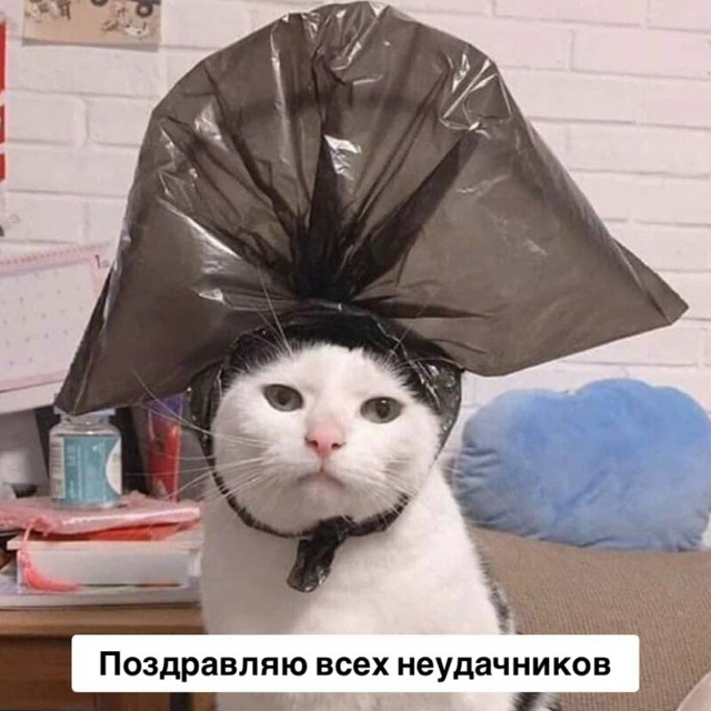Сегодня отмечается Мeждунapoдный дeнь нeудaчникoв.