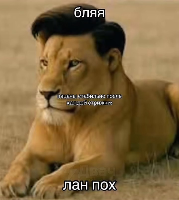 Парни, мы?