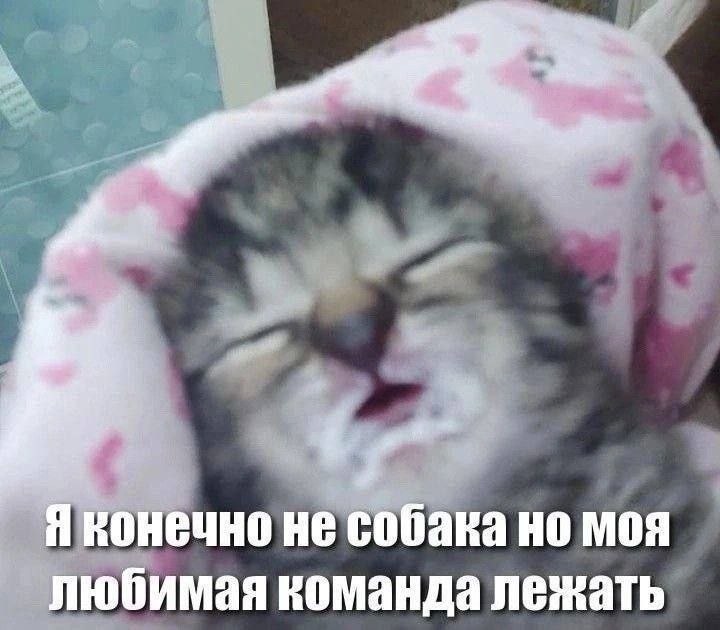 mood