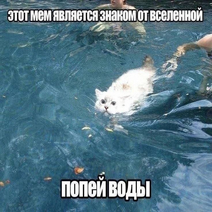 Утренняя подборочка