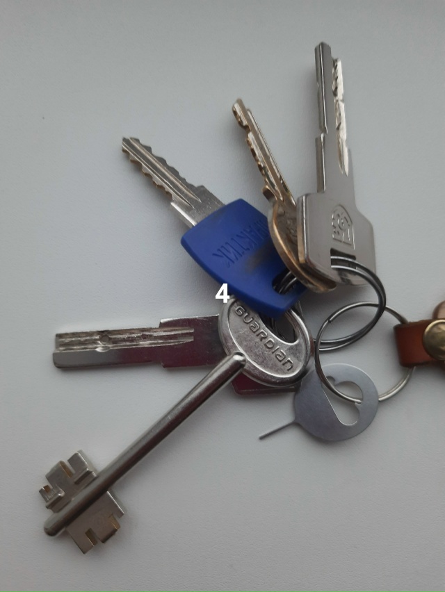 #ПотерялиНашлиПомогите
1 Молодой кот ,примерно 1,5 года...