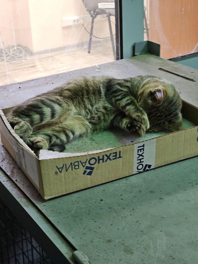 Неспокойно что-то дремлется практиканту Димке во врем?...