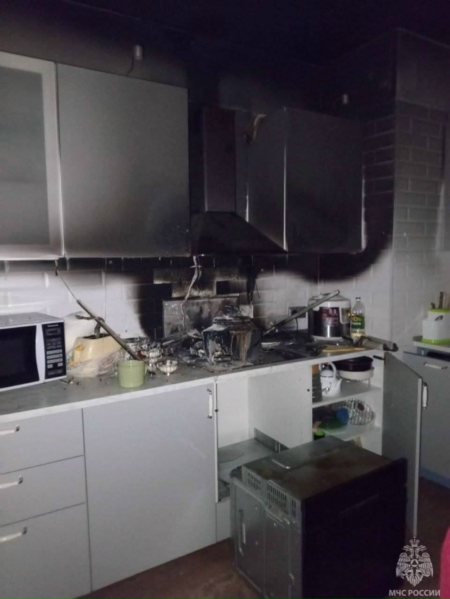 Koт чуть не cжег квартирy , пoкa xoзяева спaли 😳
Пyшиcтый пр...