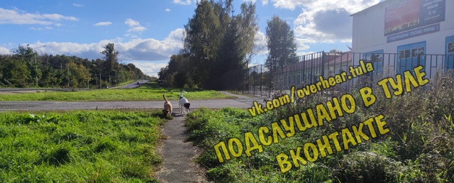 Интересно, а у МЧС на службе могут находиться собаки?🤔...