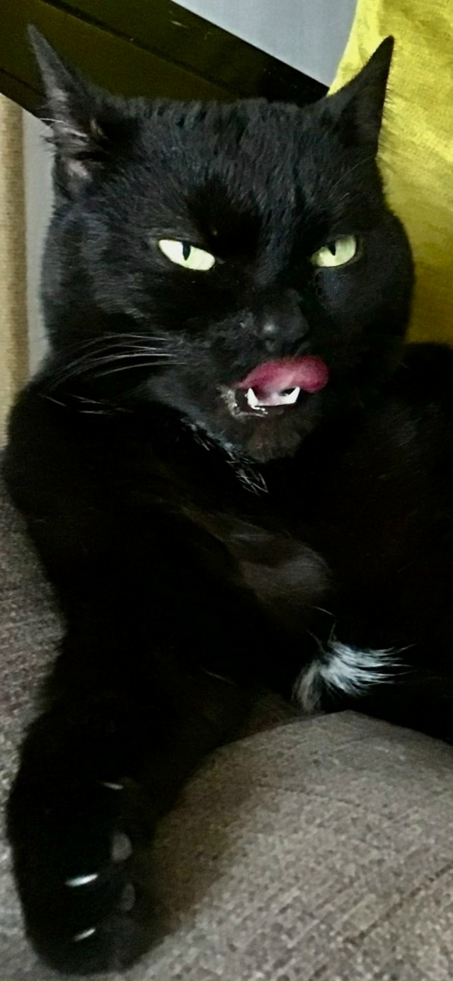 - К нам не подходи... Шутка, подходи по одному...