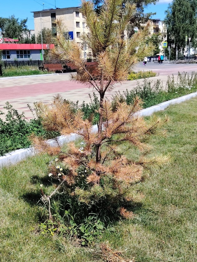 Говорят, хорошо там, где нас нет. И это действительно та...