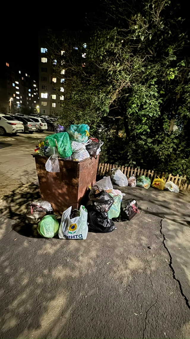 Ялтинская 94 . Постоянно мусор . Бак весь дырявый , не зав...