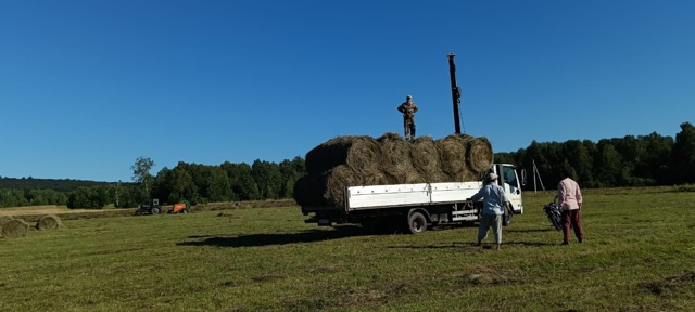 ?️ПРЕДЛАГАЕМ ВАШЕМУ ВНИМАНИЮ?:
(сезон сенокоса в са...
