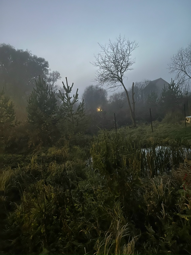 Туман туманище у на с в Волхове.Красота)