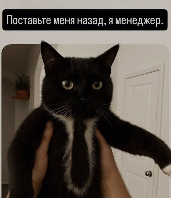 Ночная подборочка
Спать, режим