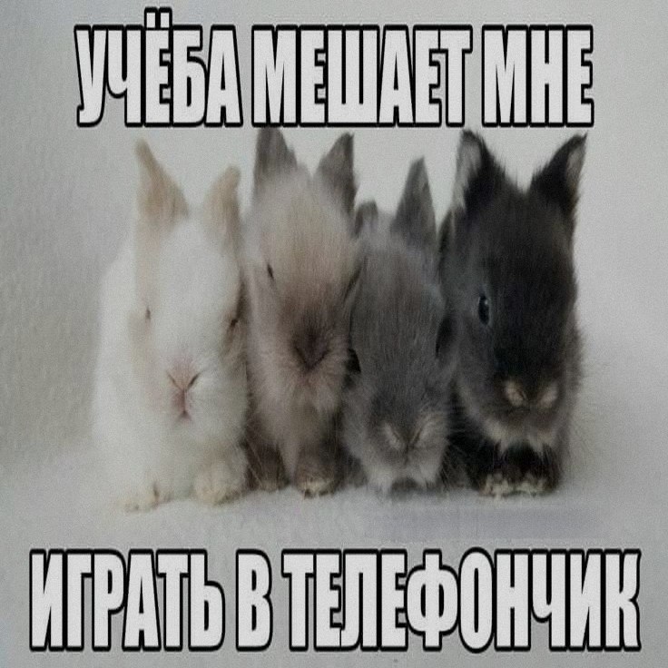 Ночная подборочка
Спать, режим