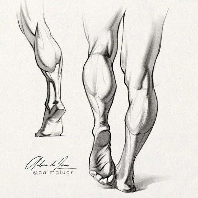 Sketch
Tutorial
