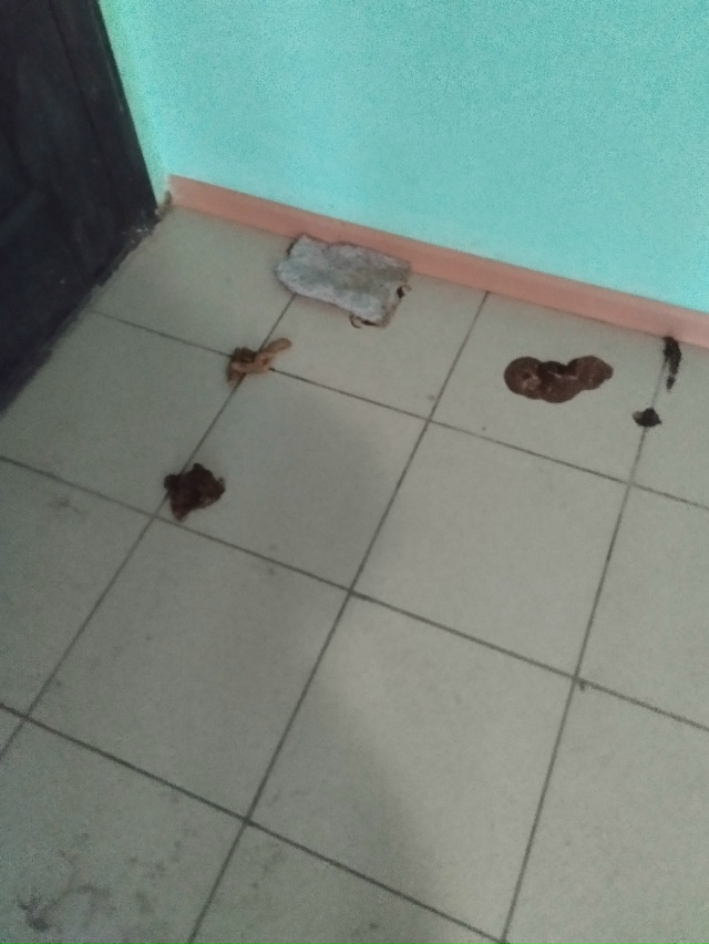 Здравствуйте. Подскажите пожалуйста куда обратится? Э?...