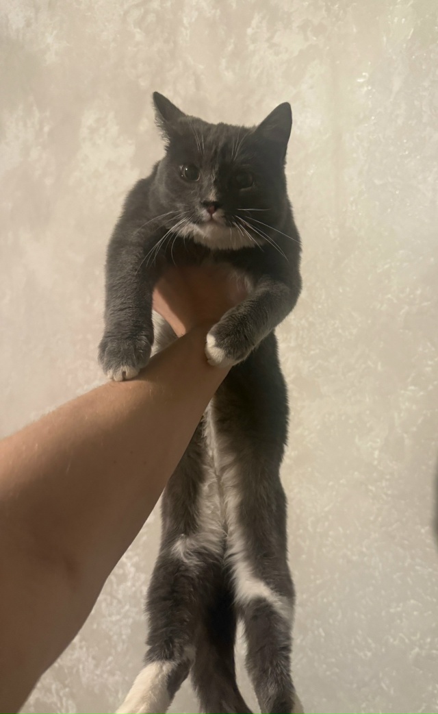 В районе железнодорожного вокзала Пермь II обнаружен и ...