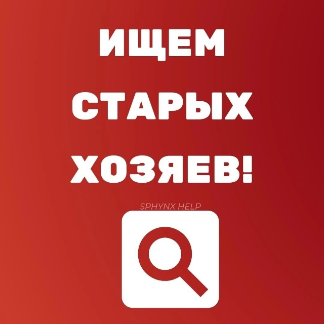 🆘 Максимальный репост. НАЙДЕН СФИНКС! п. Колюбакино, М?...