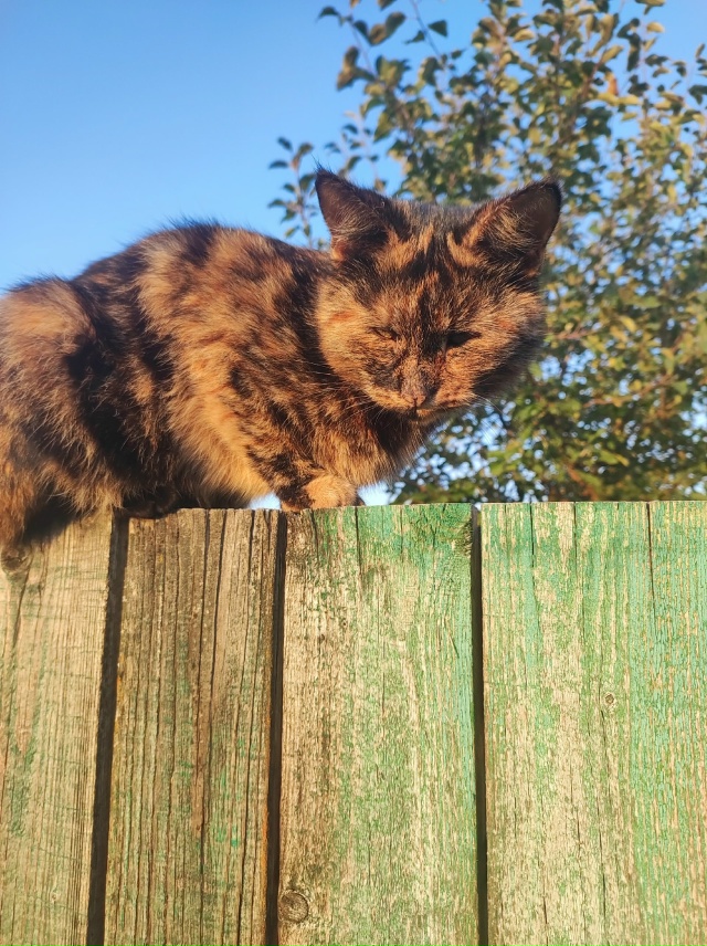Ежедневно в 21 час по местному времени Ваши вопросы.
1⃣ ...