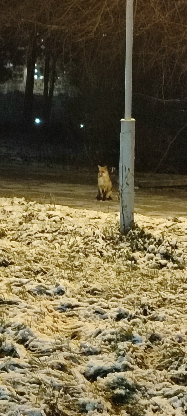 Вечерами недалеко от империала (точнее - рядом с 