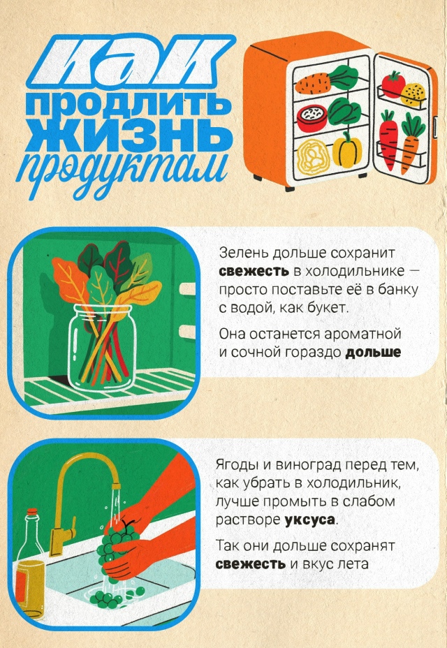 Мы собpали лёгкие советы, которыe продлят жизнь вашим п?...