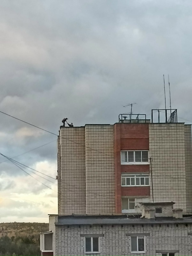 Зрелище было не из приятных, не дай Бог небольшая ошибк...