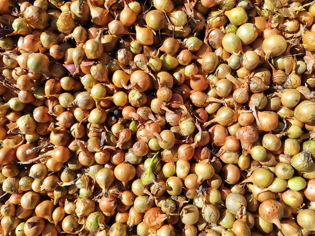 3 октября пятница, на продовольственной части рынка бу?...