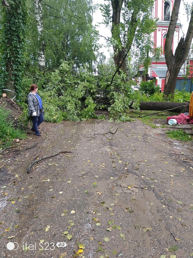 На ул Первомайская д. 1 упало дерево на проезжую часть д...