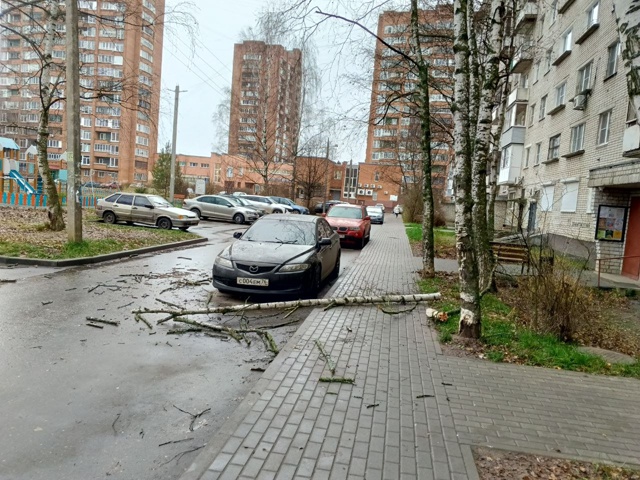 Дерево упало на машину около дома Ленинградский просп?...