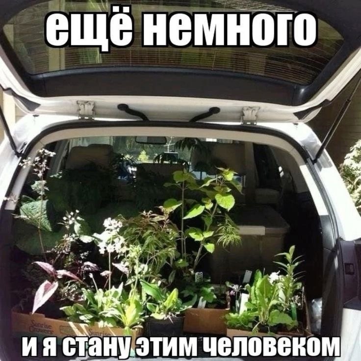 Утренняя подборочка