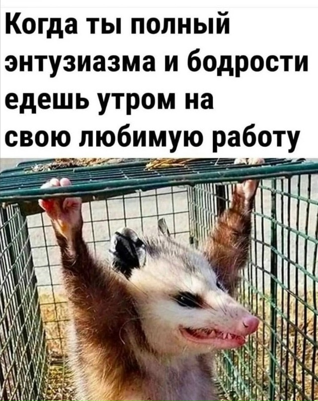 Мое типичное состояние утром