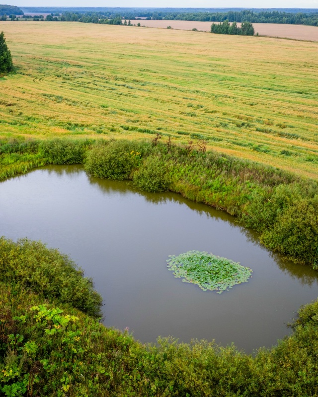 Стрелу никто не терял? ?
Найдено жилище той самой цар...