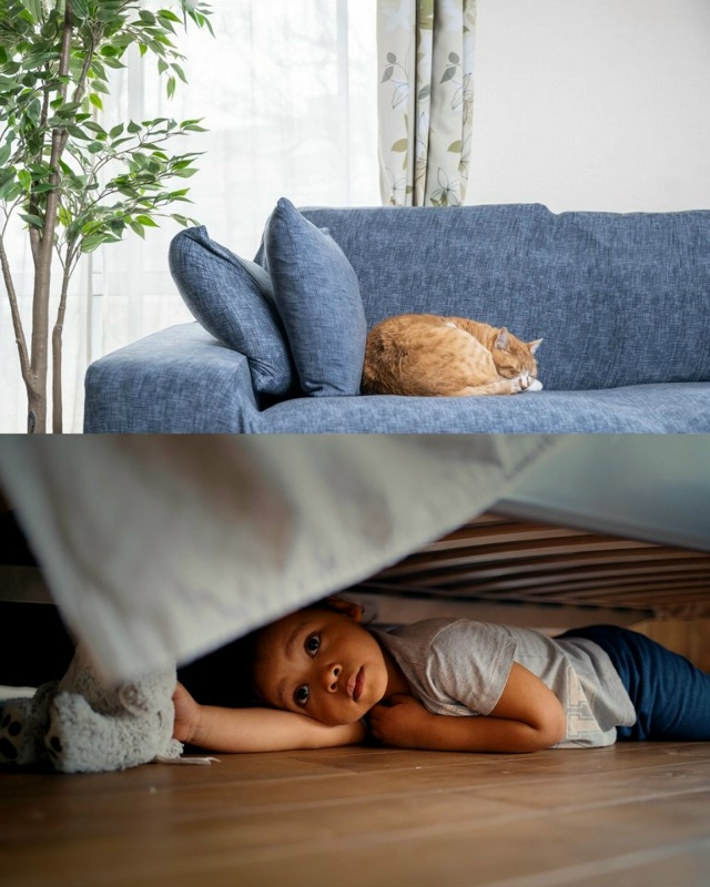 Курьезный и, к счастью, благополучный финал поисков ра?...